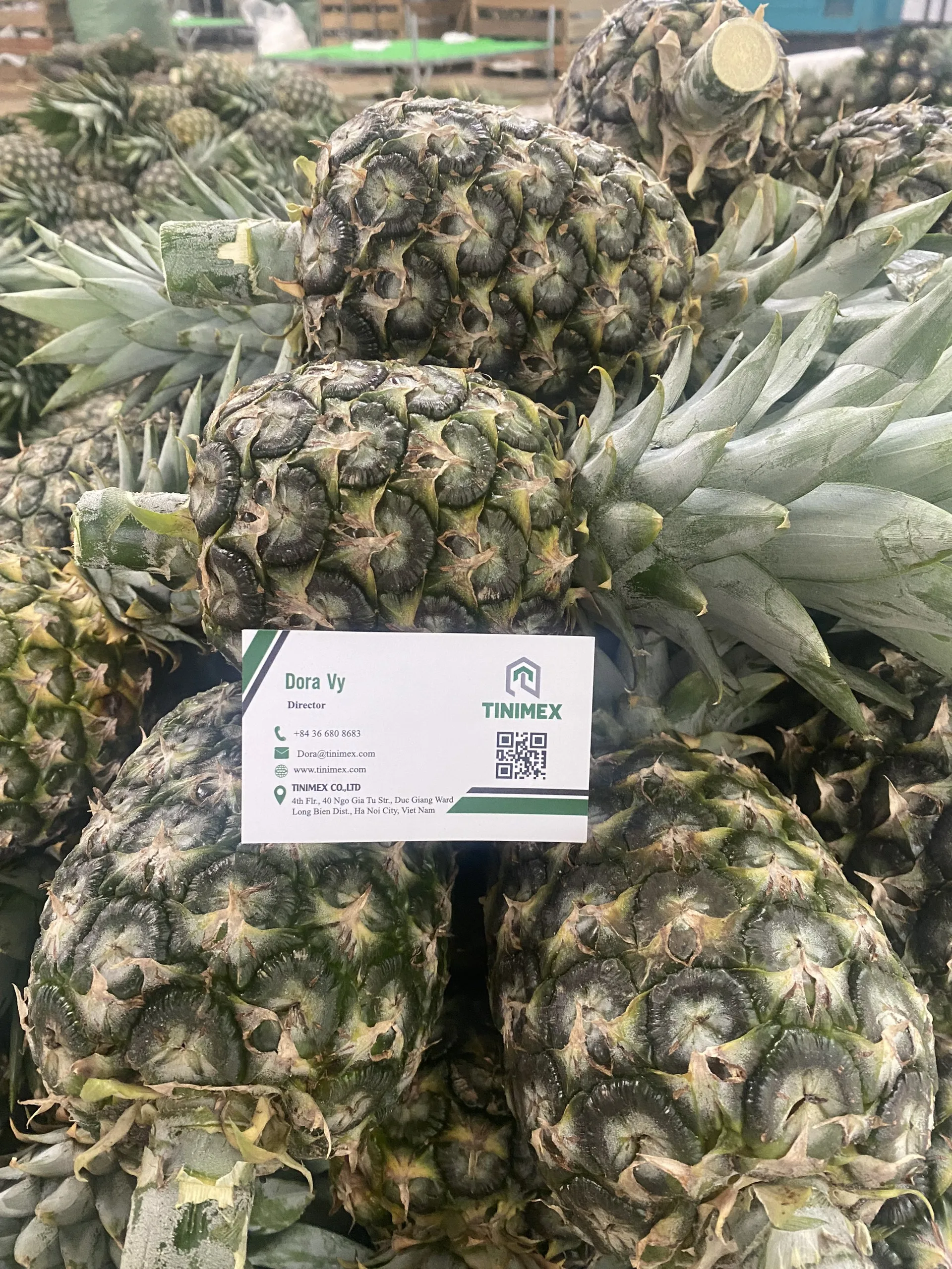 Fresh Pineapple Fruit/ Ananas Comosus/ Fresh Pineapple (wa ...