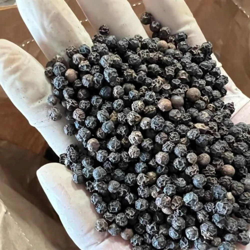 Vietnam Factory Natural Black Pepper All Of Types Low Price Whole Black Pepper Wholesale Bulk