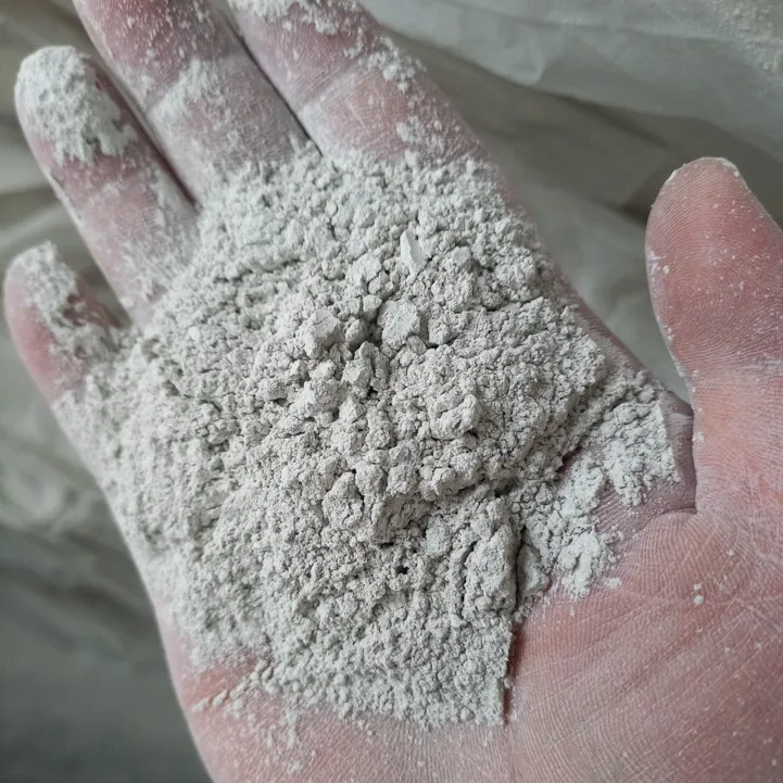 High Calcium Oxide Quick Lime Burnt Lime Powder for Sugar Refinery Factory Price | SHC Group