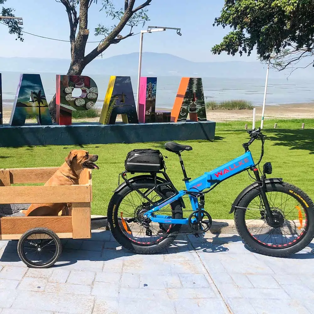 2024 Wallke X3 Pro Electric Folding Bike Convenient and Eco-Friendly Product