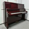 Mahogany Color