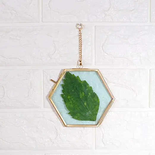 Hanging Brass Frame Modern Photo Frame Metal Wall Double Sided Glass