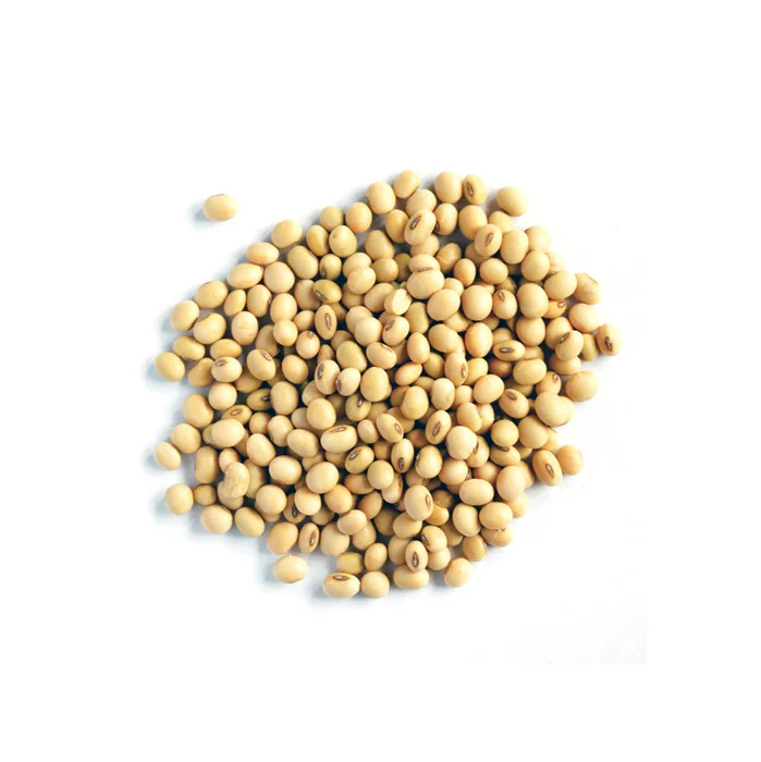 50kg Bag Sprouting And Food Grade Dry Yellow Soybean Seed Non Gmo