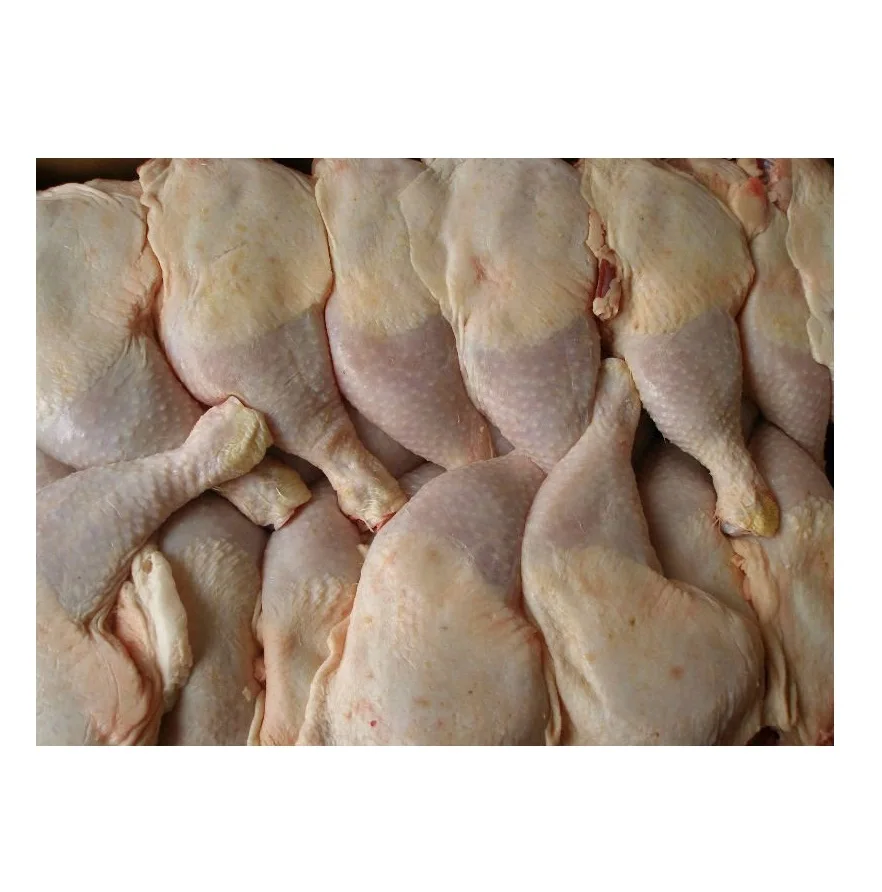 Frozen Chicken Feet / Quarter Chicken Leg / Chicken Breast Bulk Sellers
