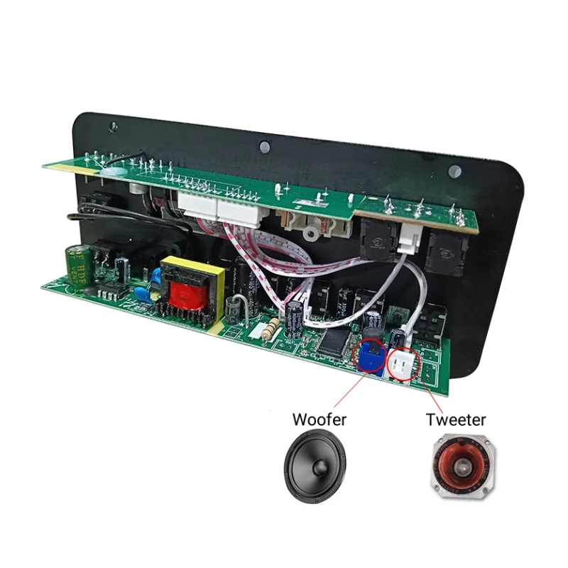 Mini Mono Channel for 5.0 Digital Power Amplifier Board 30-120W