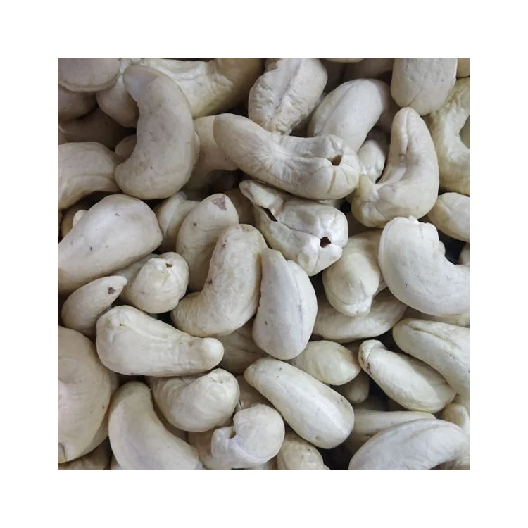 Cheap Price Kernel Organic Quality Cashews Nut Supplier Offers Benin Raw Cashew Nuts In Shell