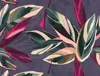 purple green pink beige