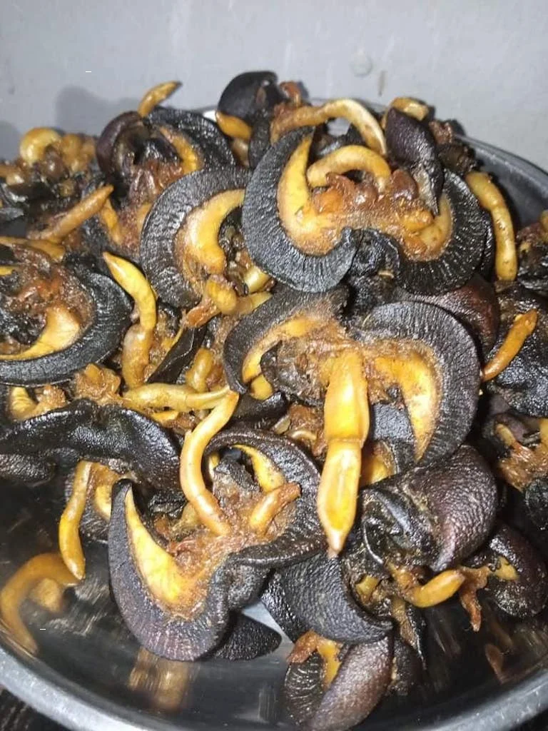 Fresh African Giant Escargot Snail Buy Dried Snail Fresh Snails Live