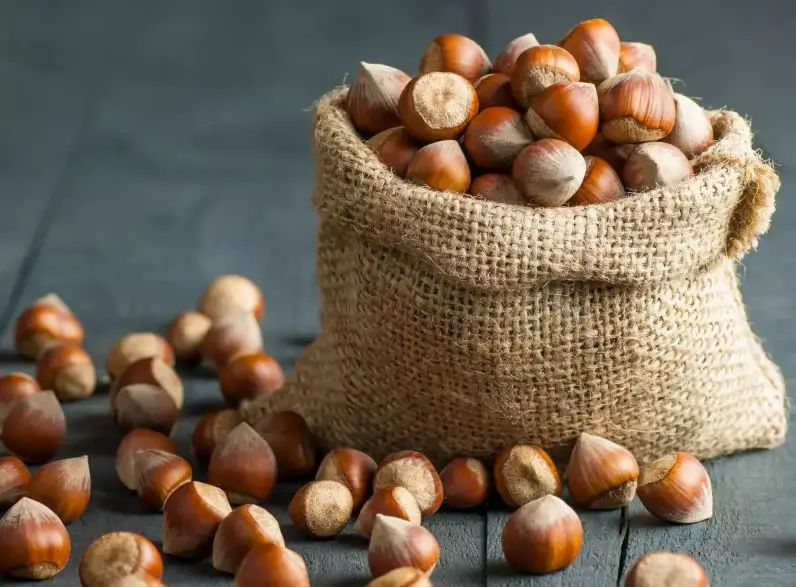 100 Natural Hazel Nuts And Ripe Hazelnuts Without Husks Buy Organic