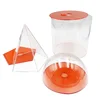 Transparent body + red lid