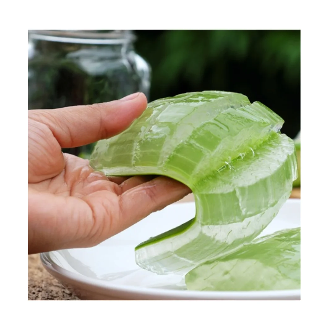HIGH QUALITY DELICIOUS ALOE VERA DICE - ALOE VERA JELLY - FROM VIETNAM -  Ms. Jennie