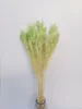 Verde claro