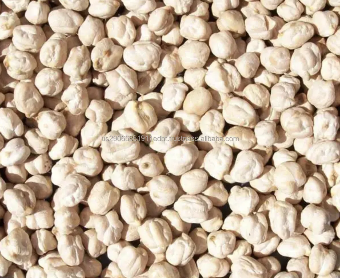 Top Grade Natural Bulk Chickpeas Dried Wholesale Dried Chickpea/chick