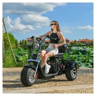 DOTMALL EHoodax 05WQ Electric Tricycles 18 Inch Fat Electric Scooter 2000W Motor 150KG Max Load 20000mAh Battery Black