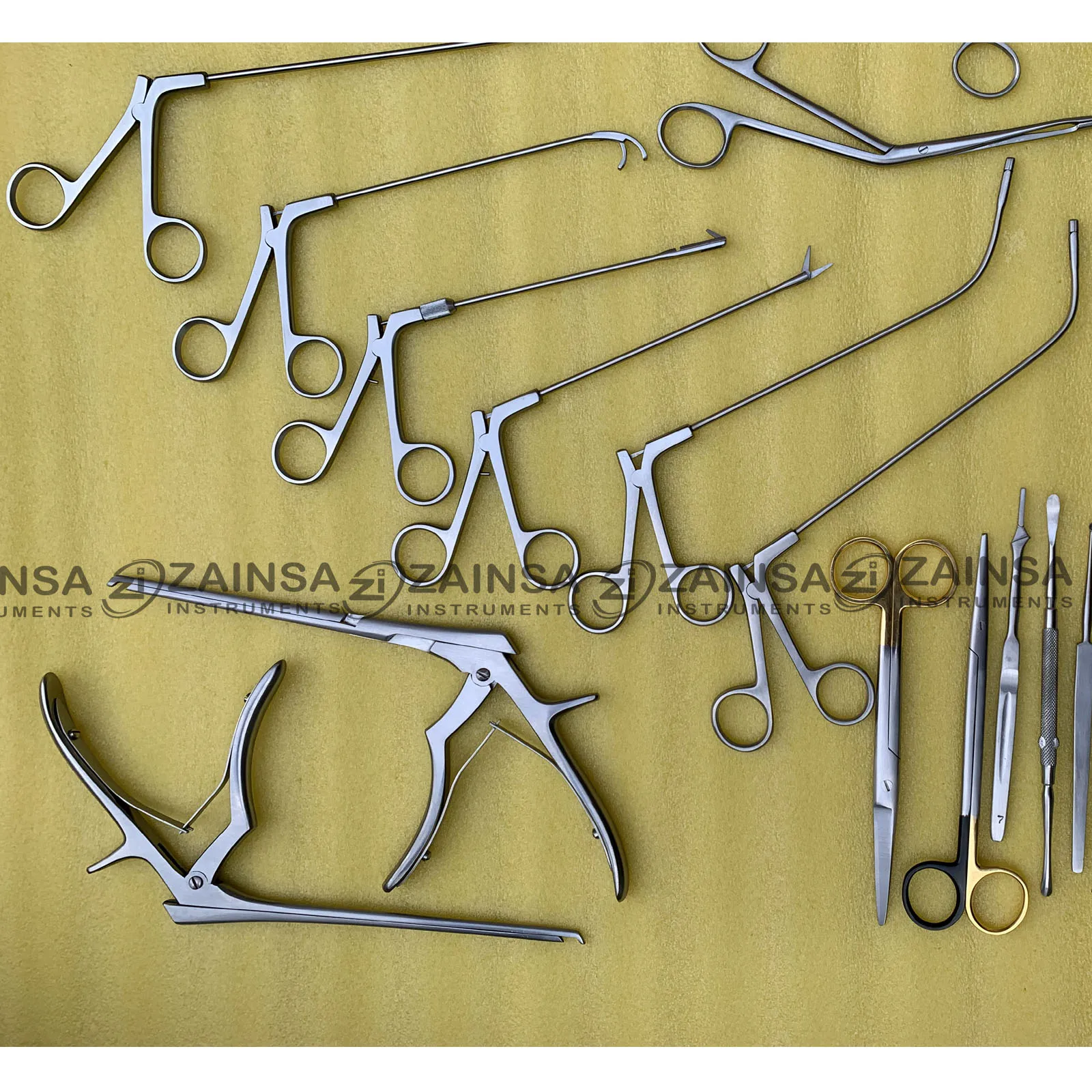 Fess Instruments Set Of Endoscopic Sinus Surgery Cheap