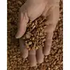 Verona Red Granules