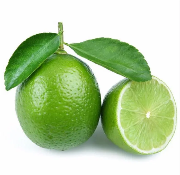 100% Natural Green Seedless Lime  Wholesale GREEN LEMON/ Citrus Fruit Fresh Lime Sour Taste Cheap Price From Vietnam
