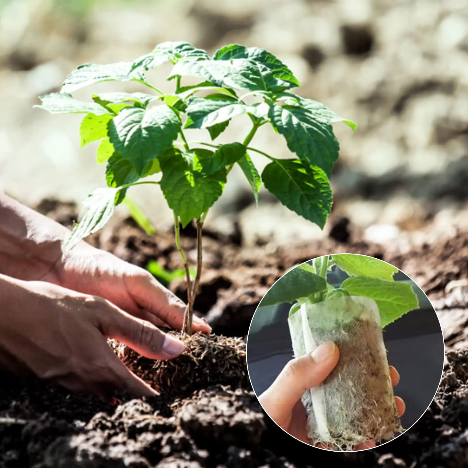 1 3 5 10 30 36 Gallon Non Woven Fabric Biodegradable Grow Nursery