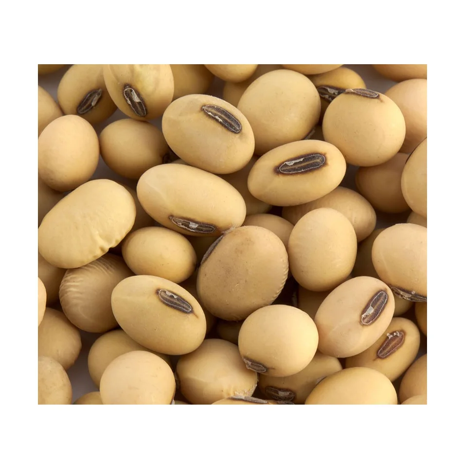 Wholesale Organic Nongmo Soyabean Yellow Soybean Soja Soya Beans Buy