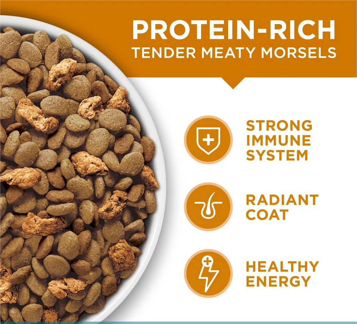 Natural Pet Food High Protein Dry Dog Food Cat Food Buy Cat Food