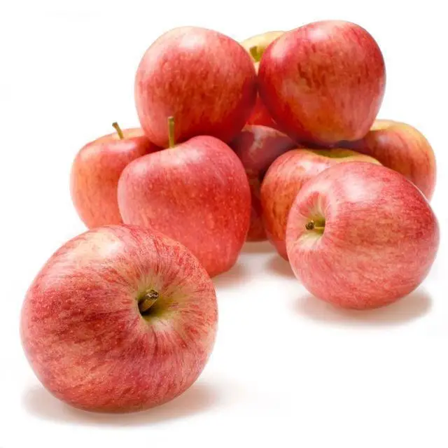 High Quality Organic Austria Fuji Apple Crispy Sweet Taste Top Grade Factory Supply China Fresh Export