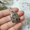 Meteorite