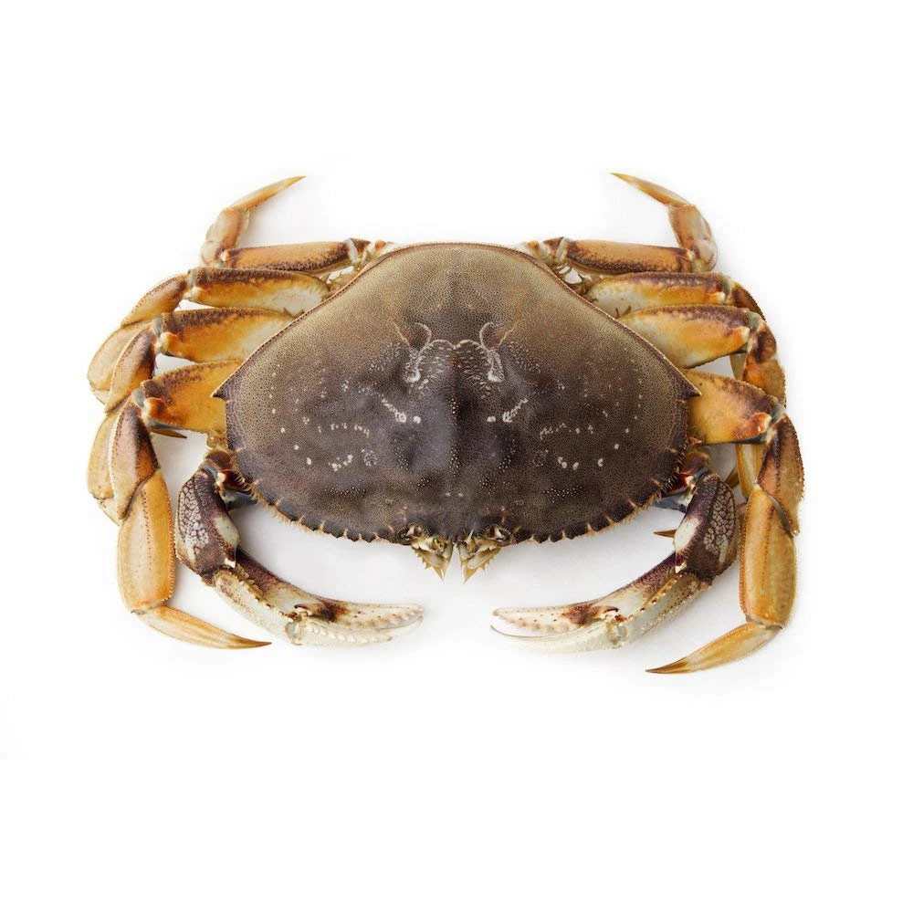 Fresh Red King Crab Fresh/frozen/live Red King Crabs Buy Soft Shell