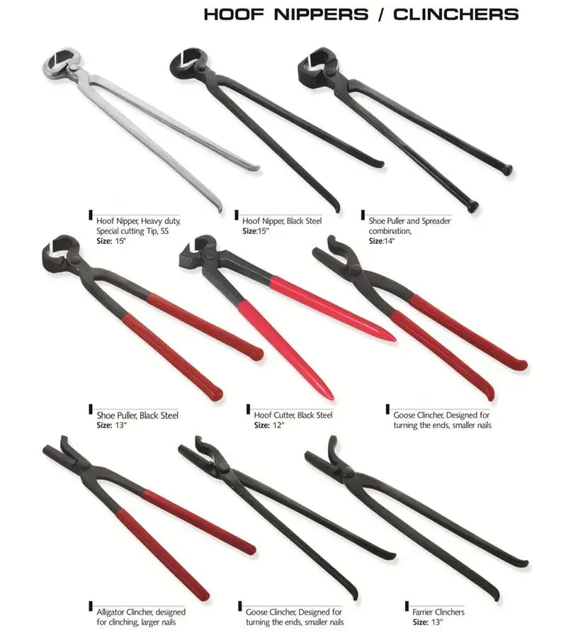 Professional Farrier Tool Kit Buy Nickel Plated Nipper With 15
