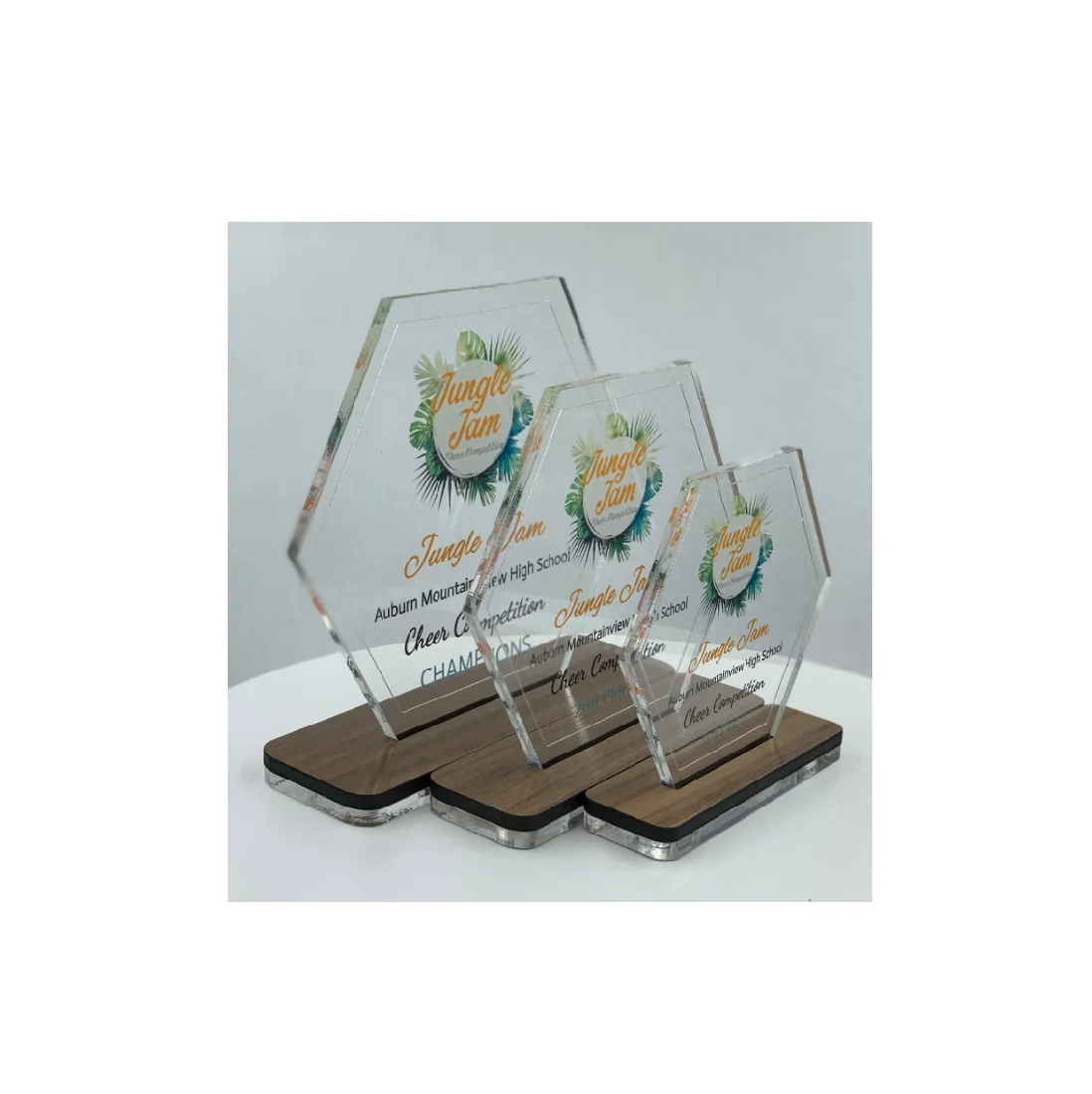 Hexagon Acrylic Trophy with Wood Base / Science Award / STEM Award Tech Gift Acrylic with Color Prints Free Customization