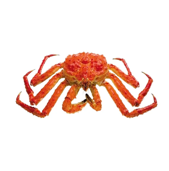 Red Alaskan King Crab/fresh Frozen And Mud Crabs Red King Crabs Soft Shell Crabs/blue Crab Buy