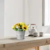 Color-E