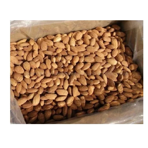 High Quality Dried Raw Almond Nuts for Food Use