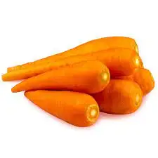 High Quality Carrots/ Wholesale Fresh Red Carrot Organic Fresh Carrots for Sale