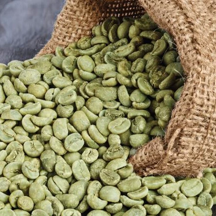 green bean coffee price