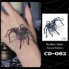 CD-062-Tarántula azul acero en la web