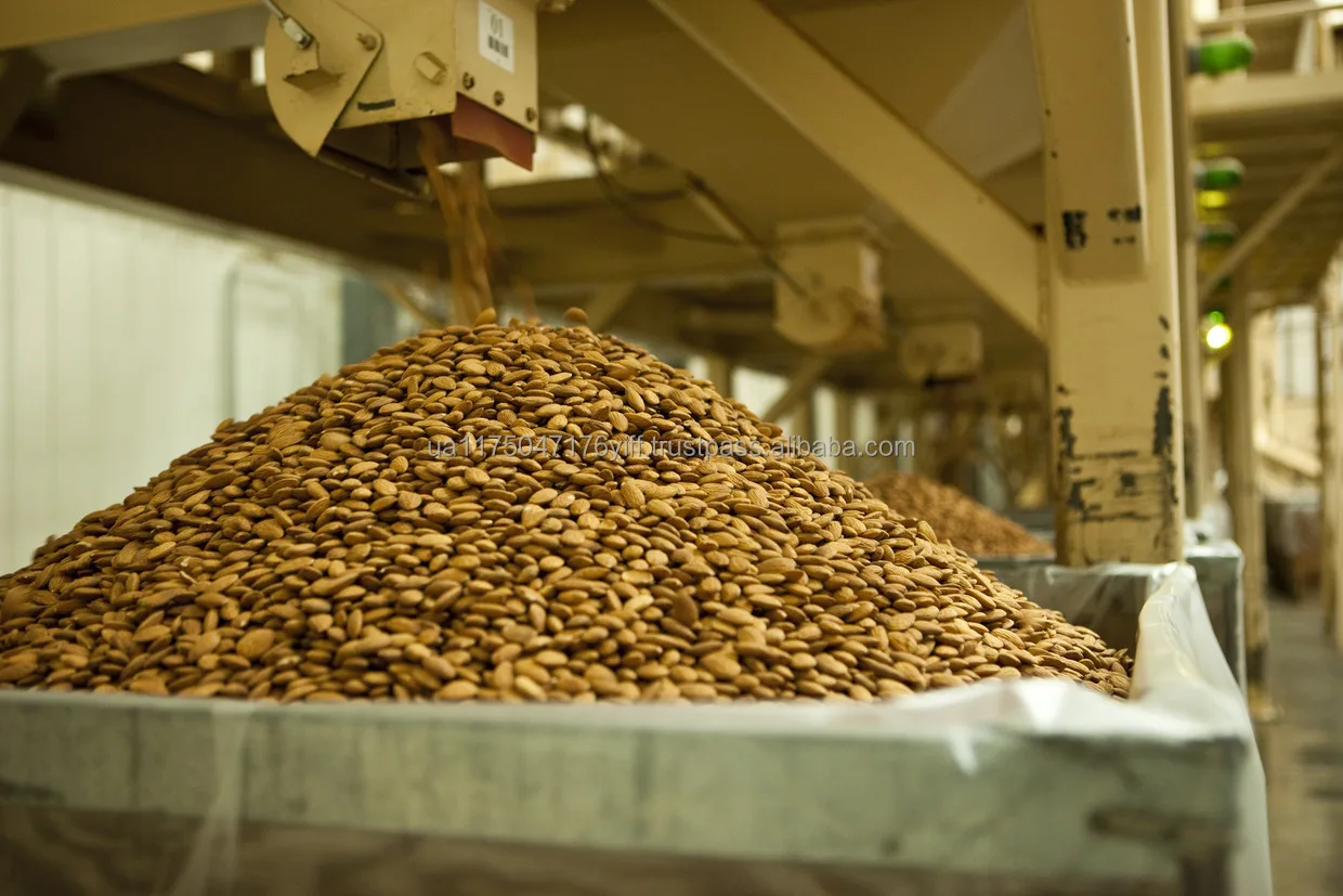 Almond-warehouse.png