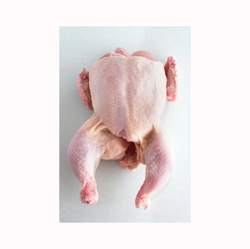High Quality Chicken Leg Wholesale Prices Fresh Frozen Halal Feet/Paws for Sale