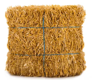 ALFAFA HAY in BALES TIMOTHY HAY ALFAFA HAY PELLETS for HORSES and CATTLE Factory Priced Animal Feed