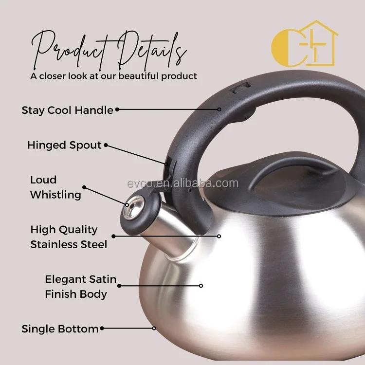 Creative Home Sphere 3-Quart Stainless Steel Tea Kettle
