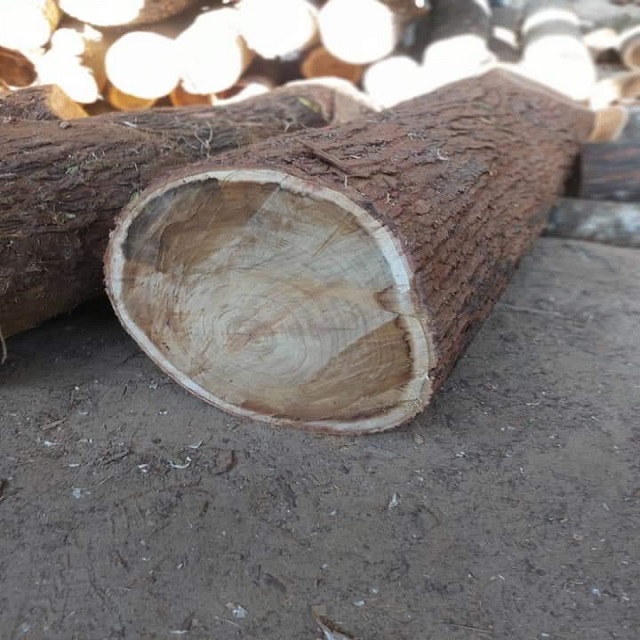 Lowest Price Acacia Wood Round Logs Peeled Logs And Poles For Sale