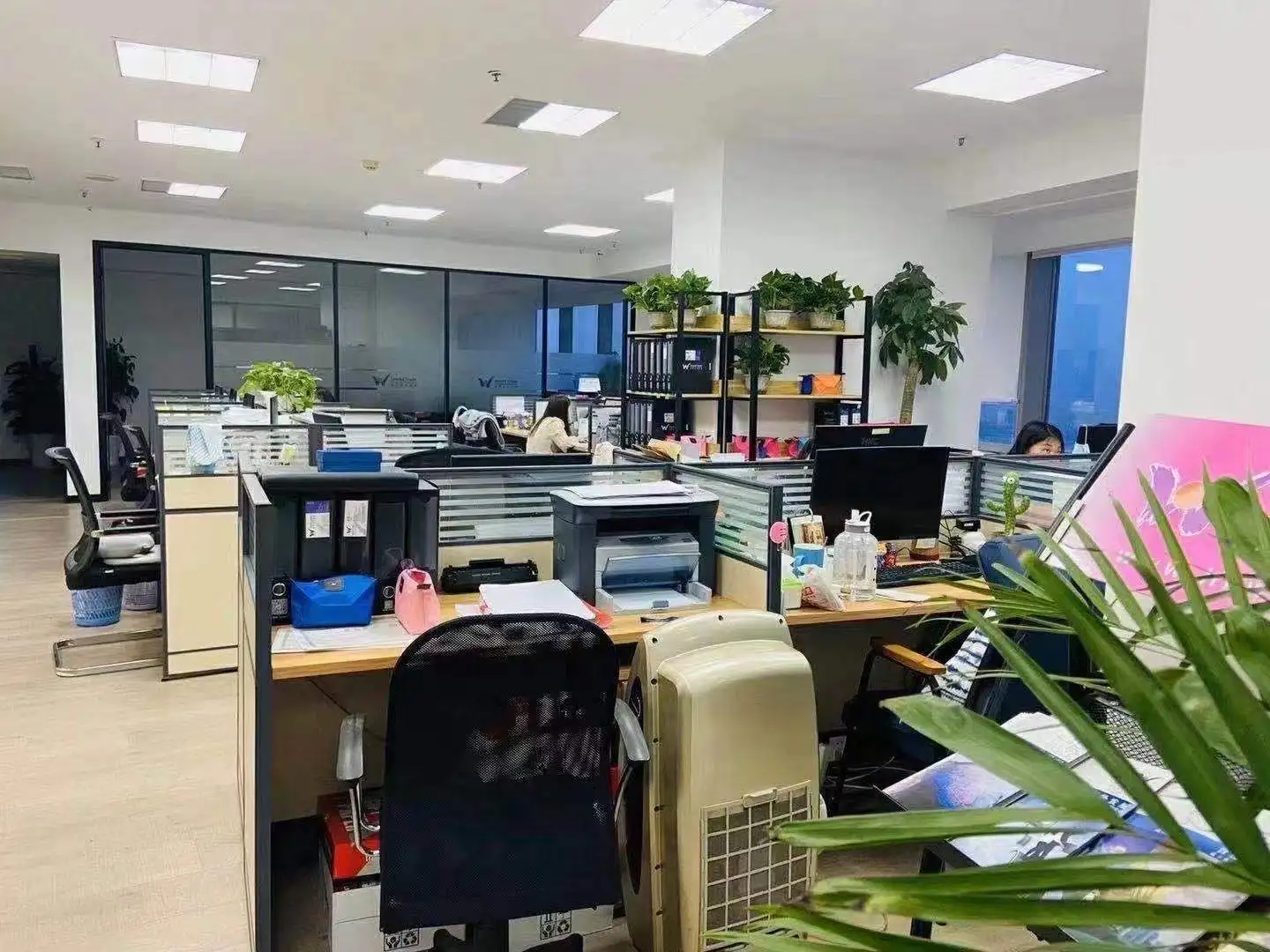 Shouguang Longtai Glass Co., Ltd.