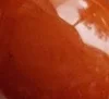 Vintage Orange