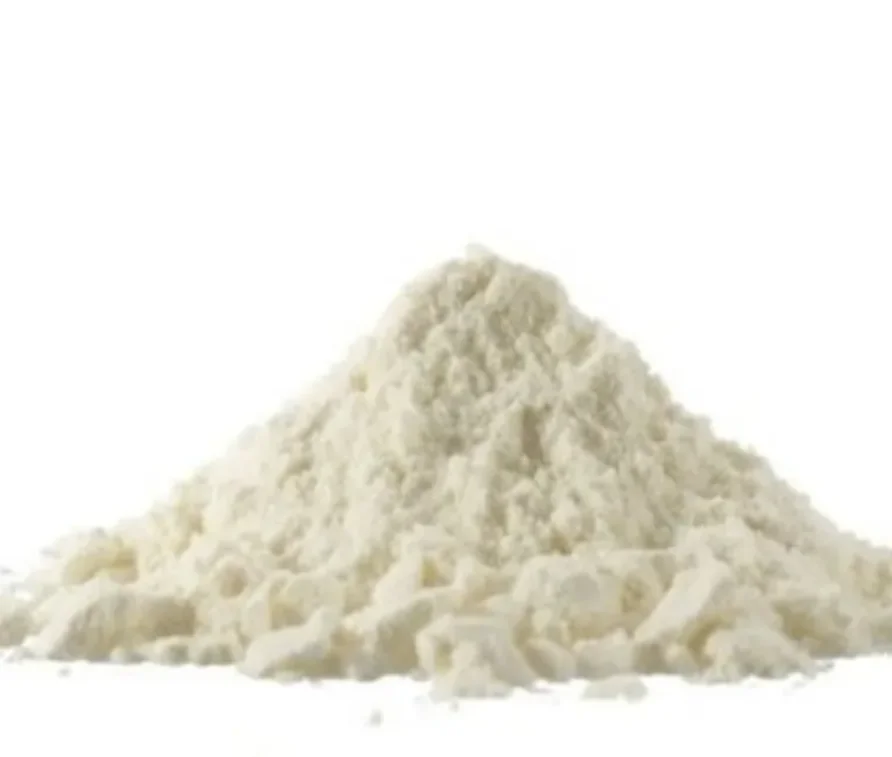 1 (1).png