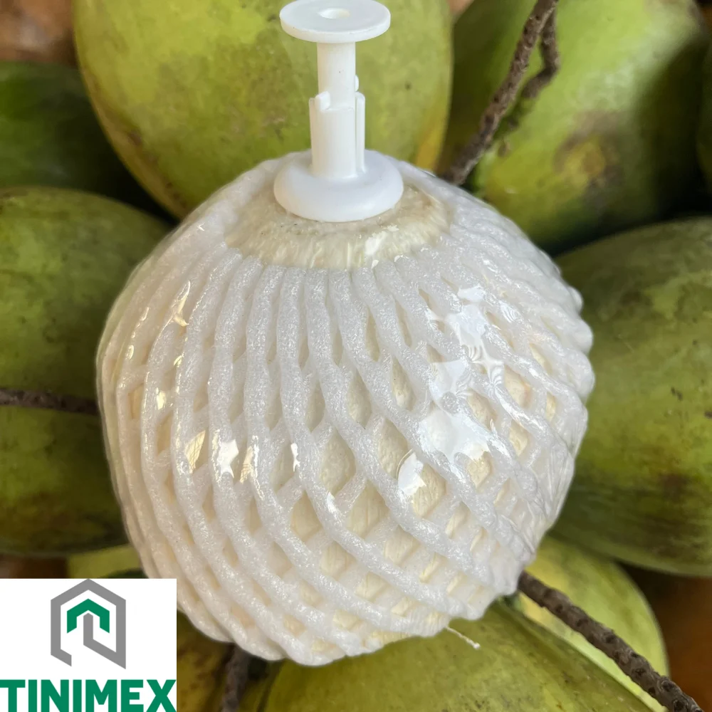 Fresh Young Coconut With Pull Tab Open Vietnam Easy Open Coconut Origin