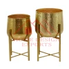 Antique Gold