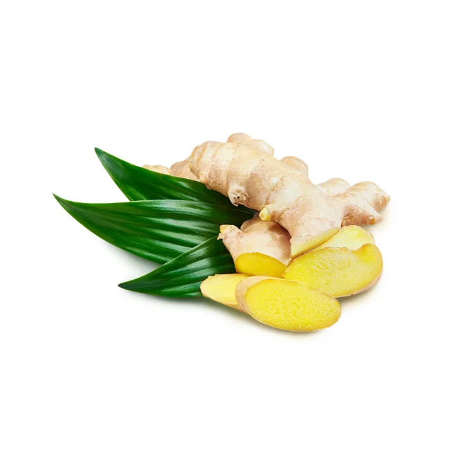 Fresh Organic Ginger 2024 Season (cut & Clean) Medicine Grade Ginger ...