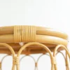 natural rattan