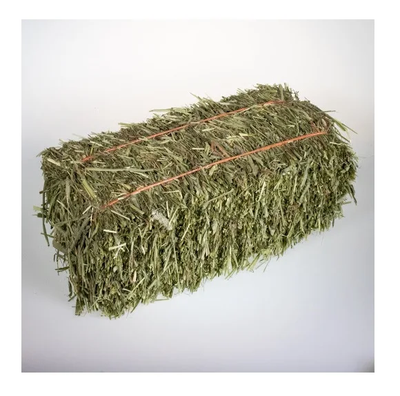 Alfalfa (lucerne) Hay/timothy Alfafa Hay/ Cheap Alfafa Hay For Animal