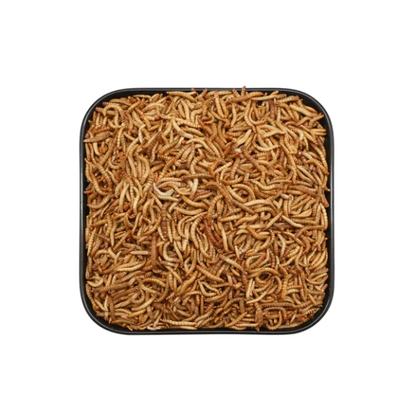 Meal Worms Dried Poultry Feed Dried Mealworms In For Sale Buy Meal