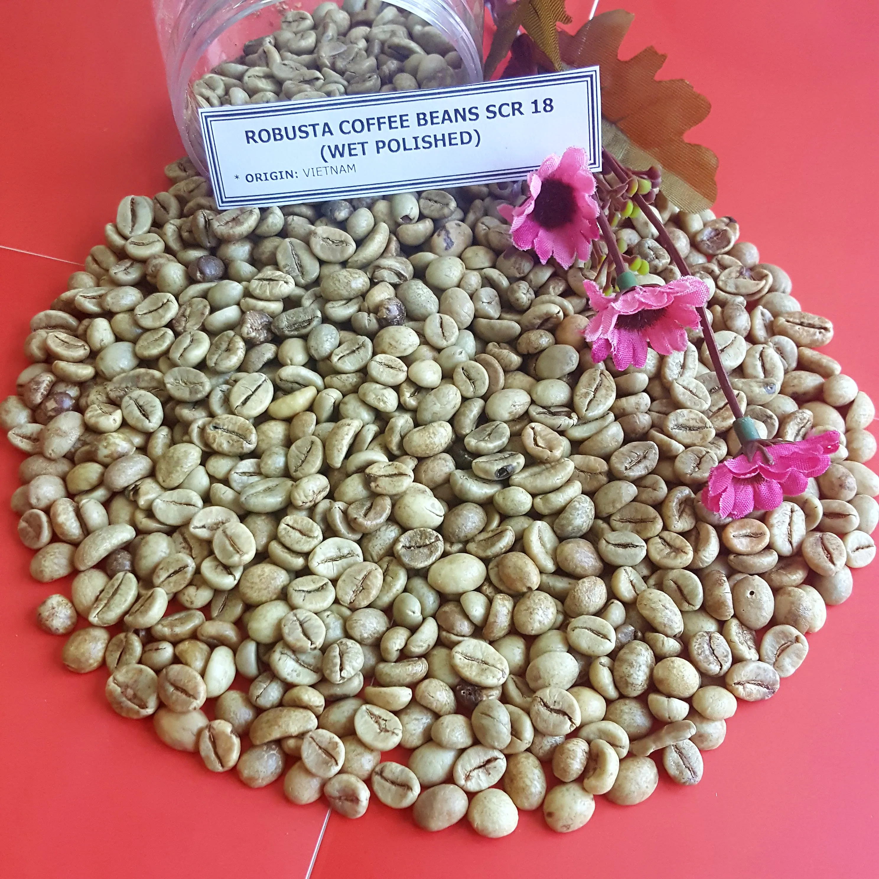 Arabica/robusta Coffee Bean From Vietnam Factory Wa 84 914737413 Buy Roasted Coffee Beans